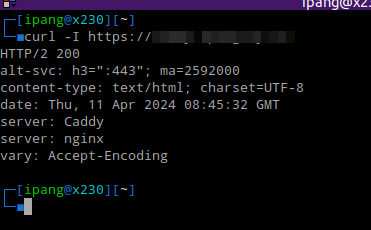 Caddy & Trafex Default Header (Redundant Server: Header)