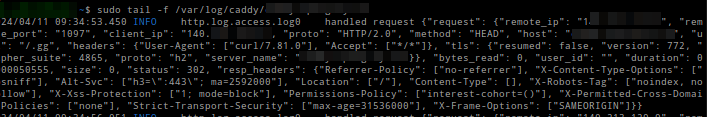 Caddy Console Log Format