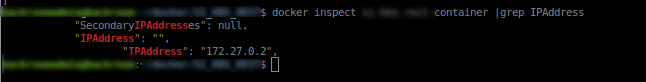 Check Container IP Address