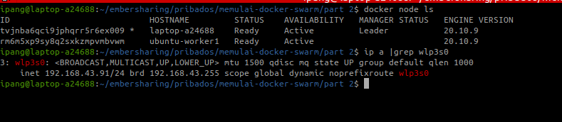 Cek IP Swarm