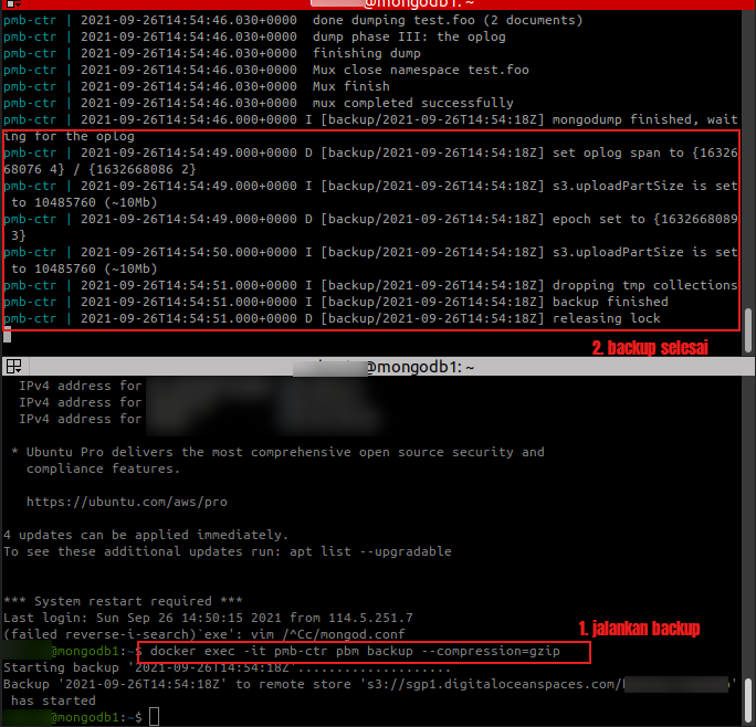 Backup ke Spaces Sukses!
