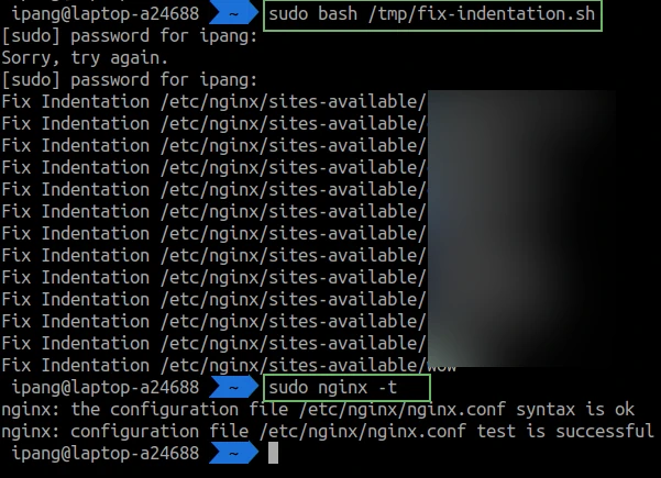 Semua File Config Nginx Sudah Rapi & Ga Ada Error Akibat Pengunaan nginxfmt