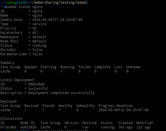 nomad status nginx