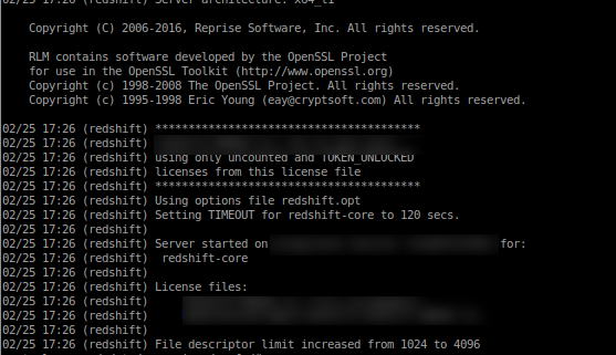 Log File RLM