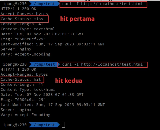 Cache Setup Sukses