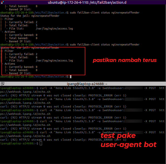 User-Agent Bot